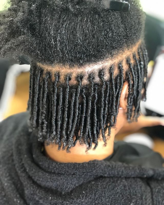 Starter locs on a client at Culture Kutz Nyali